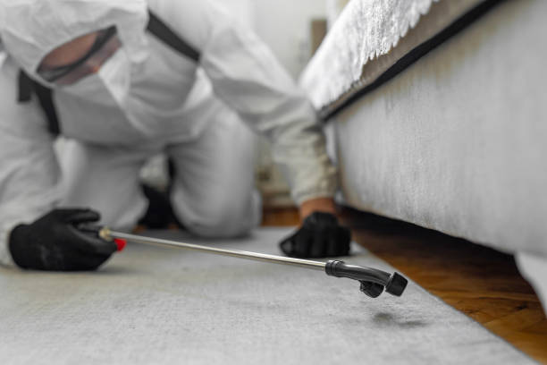 Professional Pest Control technician working in Riverview, FL