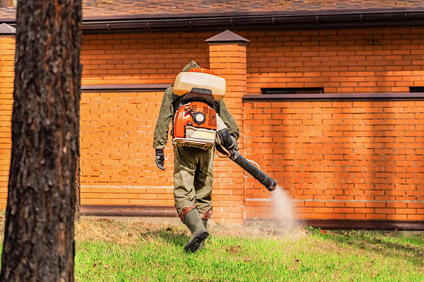 Trusted Mosquito Control service in Riverview, FL - Nex Pest Control
